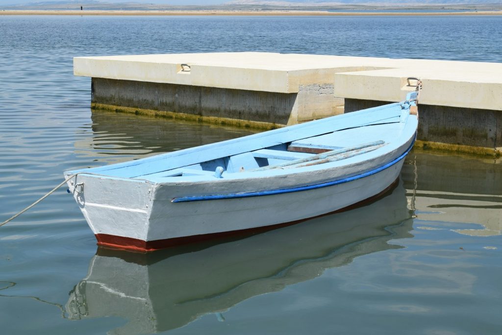 Ironwood vs Teak for a Phinisi Hull: Strength, Scarcity, Cost and Maintenance