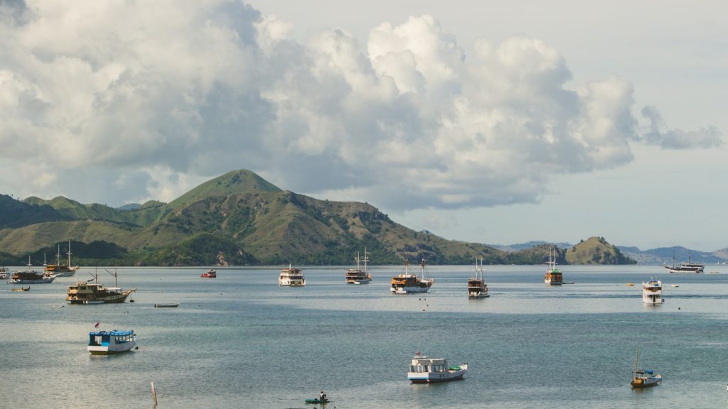 Komodo National Park Fees for Liveaboards: Components, the IDR 3.75M Saga, and What to Verify