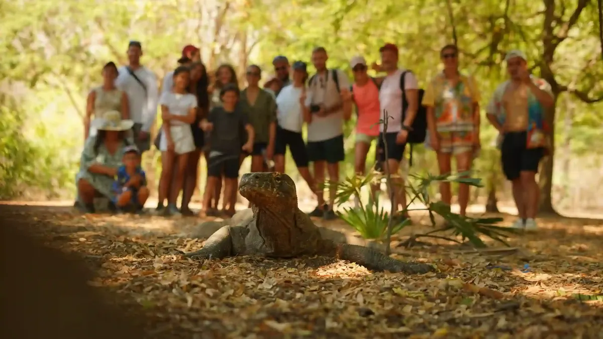 Komodo National Park Fees for Liveaboards: Components, the IDR 3.75M Saga, and What to Verify